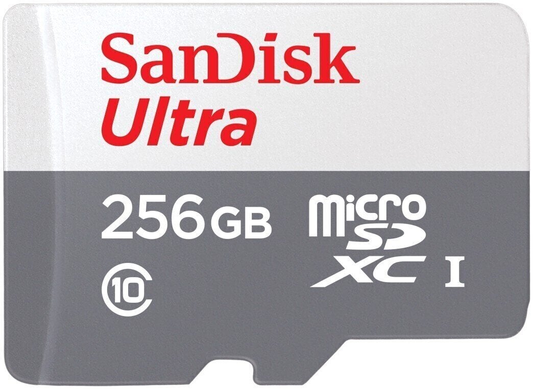 Carte mémoire SanDisk Ultra Lite 100 MB/s Micro SDXC 256 GB Carte mémoire