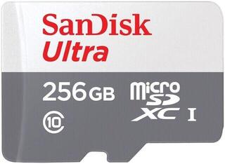 Carte mémoire SanDisk Ultra Lite 100 MB/s Micro SDXC 256 GB Carte mémoire