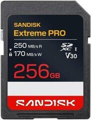 Carte mémoire SanDisk Extreme PRO 250 MB/s SDXC 256 GB Carte mémoire
