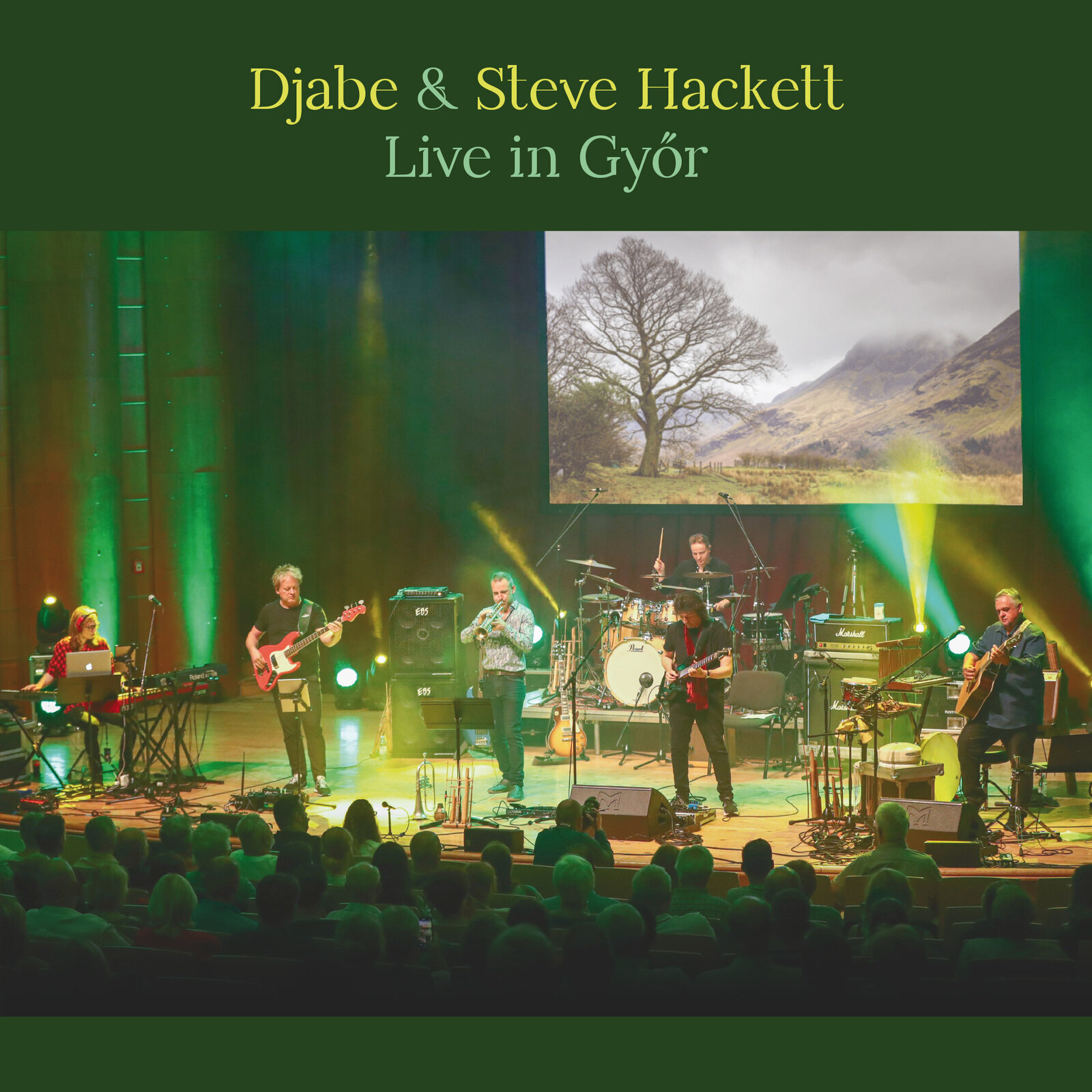 Disque vinyle Djabe & Steve Hackett - Live In Györ(180 g) (LP)