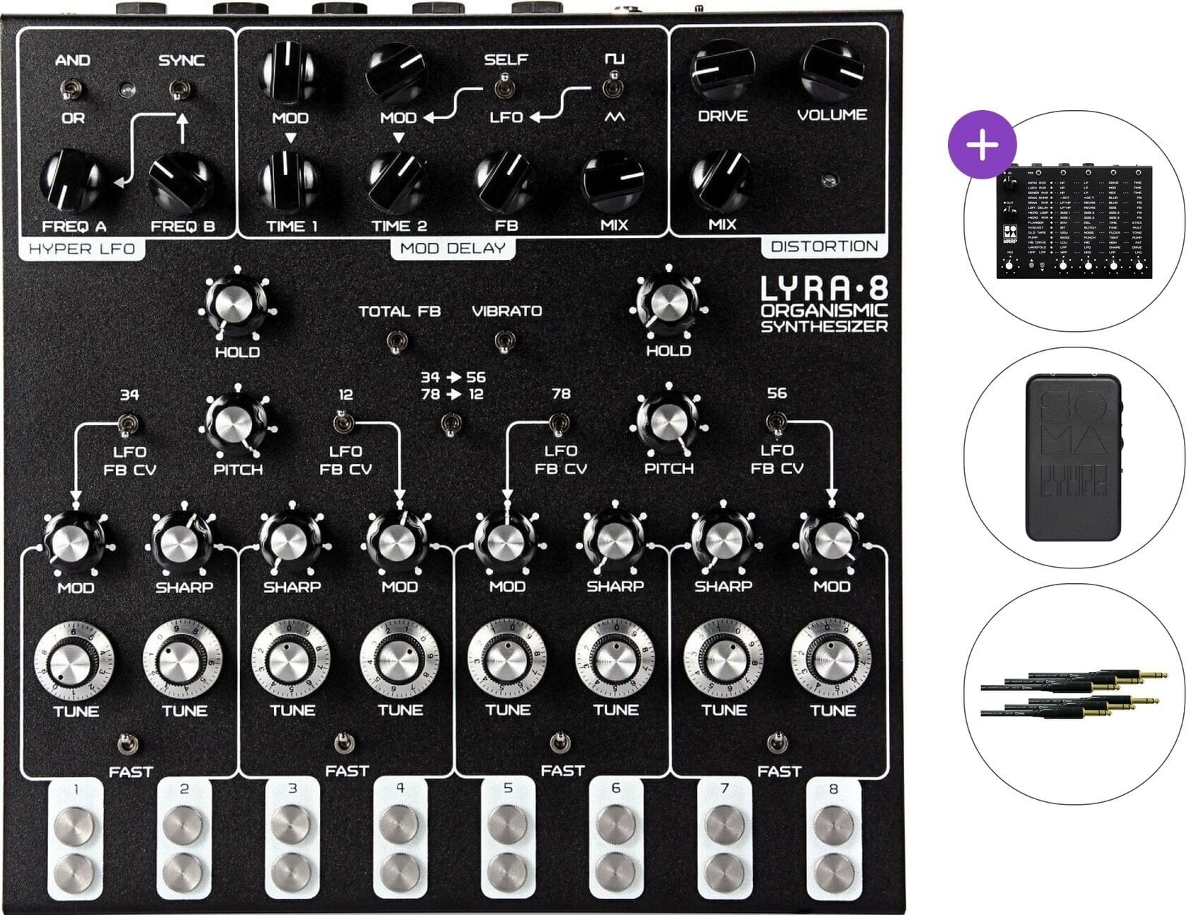 Synthétiseur SOMA LYRA-8 Standard SET Synthétiseur Black