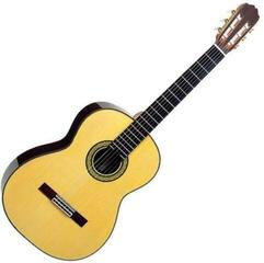 Takamine H8SS