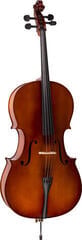 Violoncel Valencia CE160G 4/4 Violoncel
