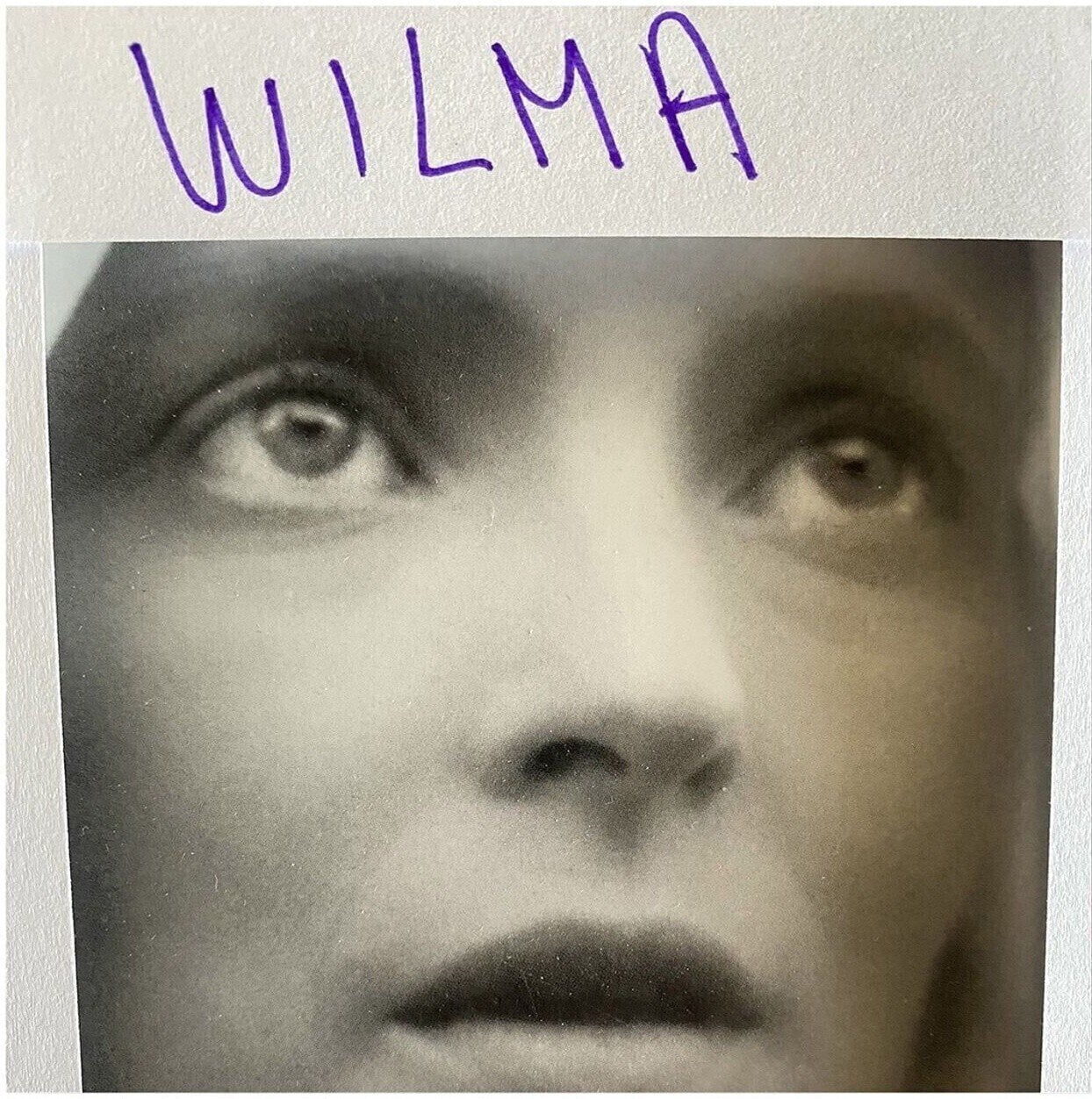 Vinyl Record Daniele Luppi - Wilma (LP)