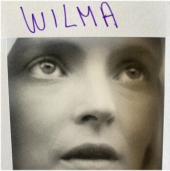 Vinyl Record Daniele Luppi - Wilma (LP) - 1