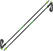 Ski Poles Atomic Redster X Carbon SQS Grey-Green 120 cm Ski Poles