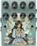 Efect de chitară Walrus Audio Lore MKII Efect de chitară