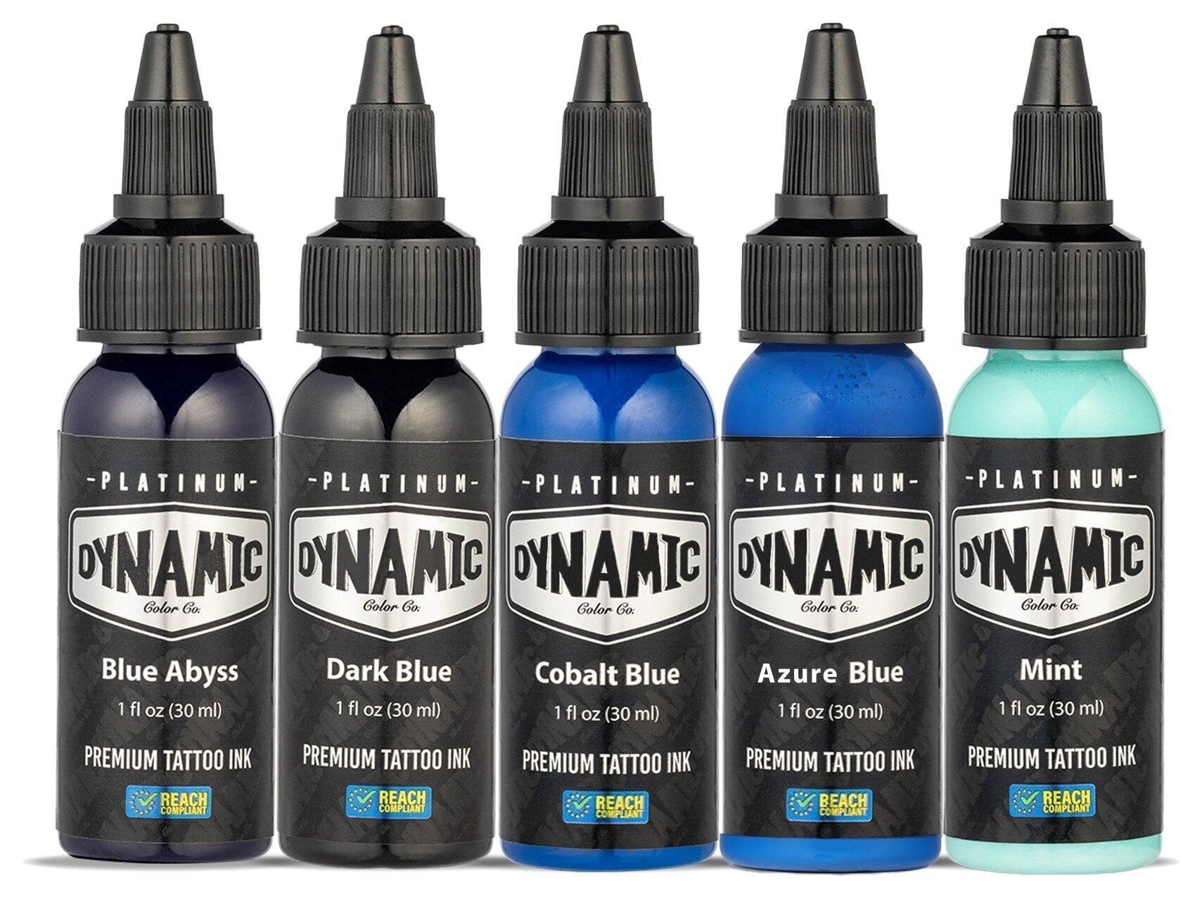 Farby do tatuażu (zatwierdzone w UE) Dynamic Color Platinum Zestaw tuszy do tatuażu 5 x 30 ml Lagoon