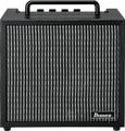 Ibanez IBZ10GV2 Solid-State Combo
