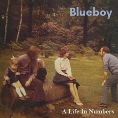 Vinyl Record Blueboy - Life In Numbers (2 LP)