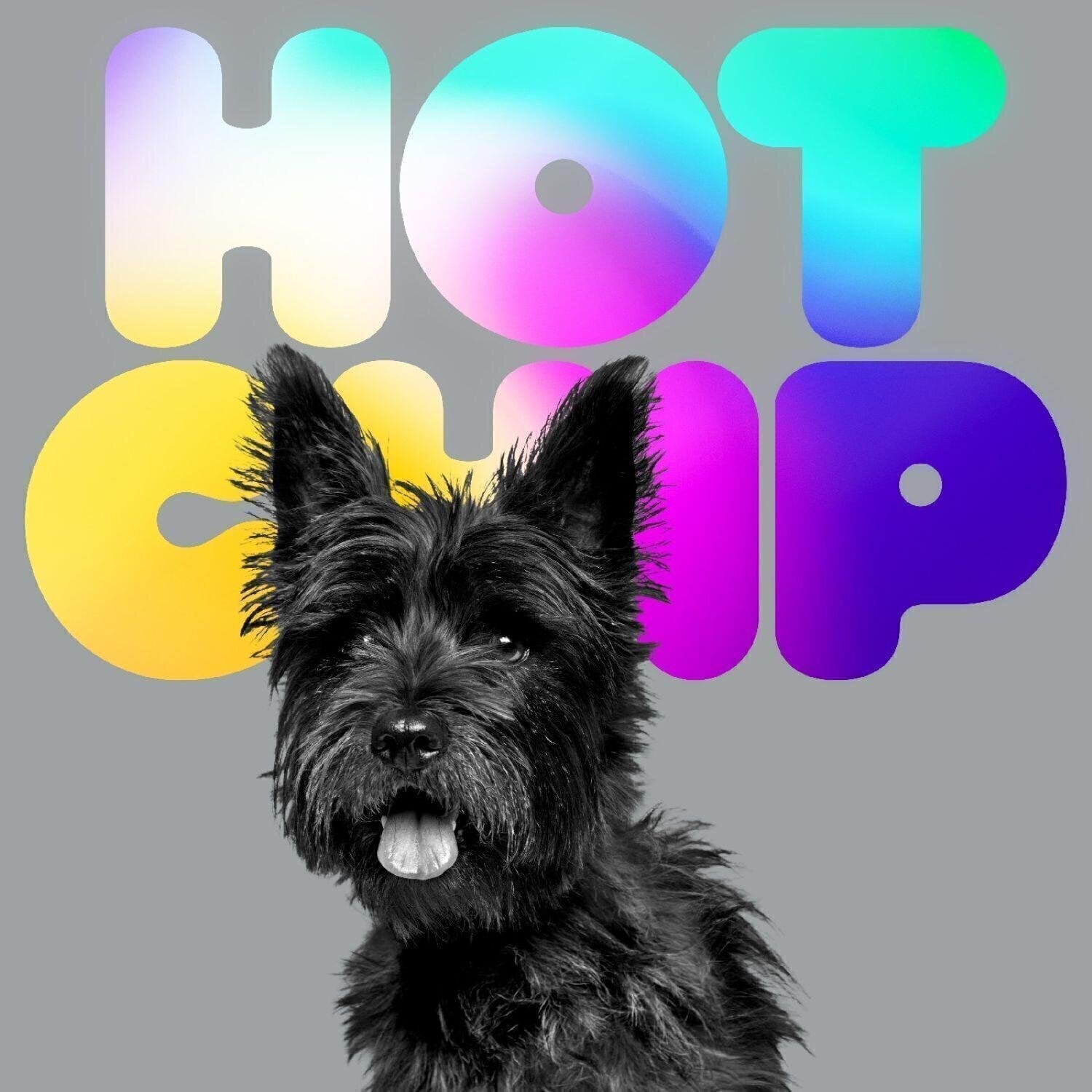 Muzički CD Hot Chip - A Long Way From Kansas (CD)