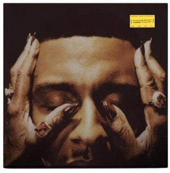 Vinyl Record Masego - Fix Your Face (Transparent Purple Coloured) (LP) - 1