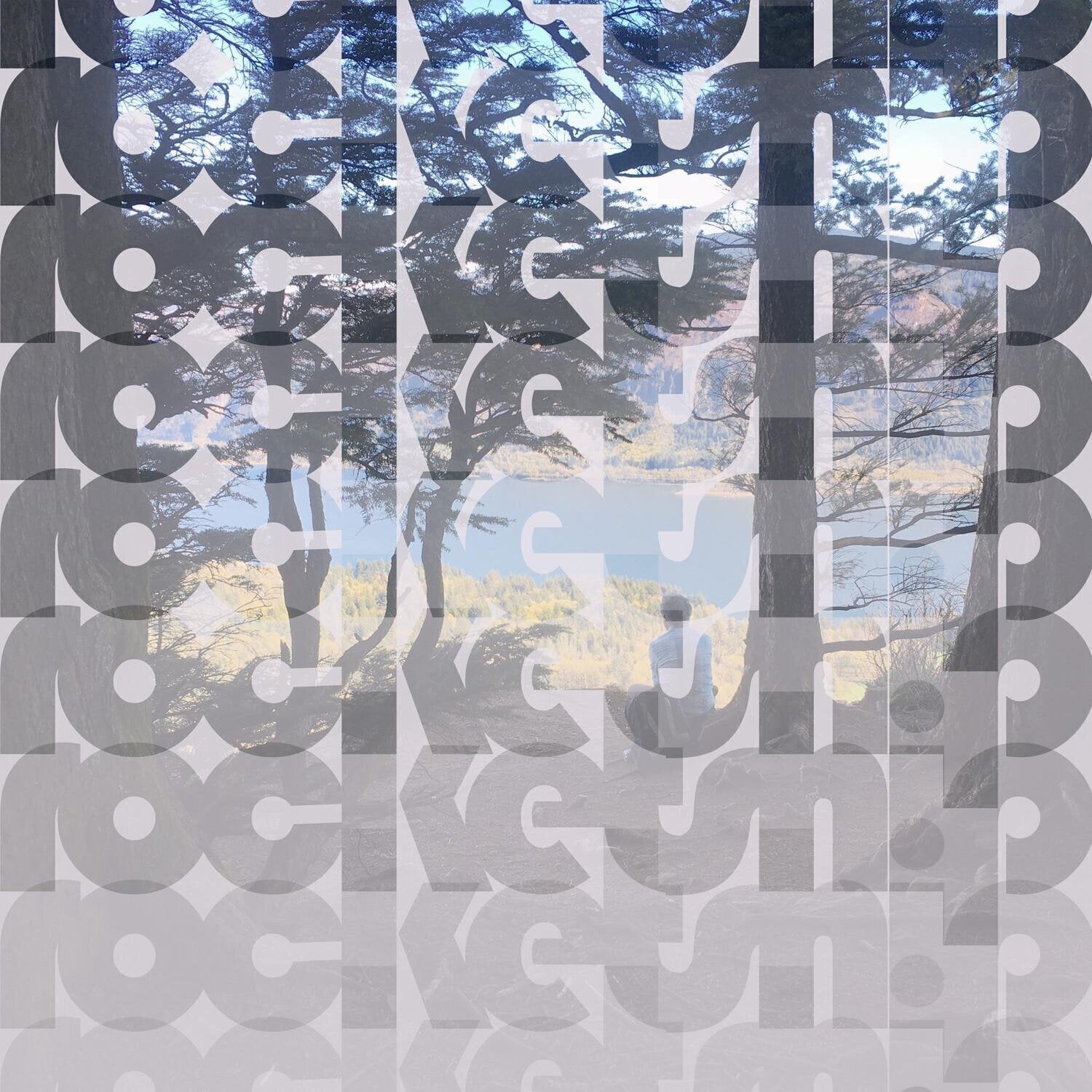 LP ploča Rocketship - Hurt Feelings (Limited Edition) (Passing Clouds Coloured) (LP)