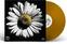 LP ploča Various Artists - Heart Of Gold: Songs Of Neil Young Vol. 3 (Gold Coloured) (LP)