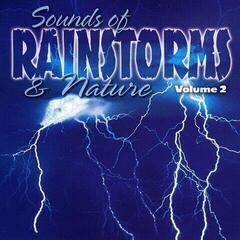 Музичний компакт-диск Various Artists - Sounds Of Rainstorms And Nature Vol. 2 (CD)