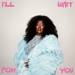 Disque vinyle NNAVY - I'll Wait For You (LP)