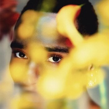 Disco de vinilo Durand Bernarr - Bloom (2 LP) - 1
