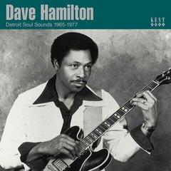Vinüülplaat Various Artists - Dave Hamilton's Detroit Soul Sounds 1965-1977 (Limited Edition) (Box Set) (7" SP)