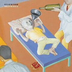 Δίσκος LP Silkworm - Firewater (Reissue) (Gatefold) (2 LP)