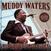 Hanglemez Muddy Waters - King Of Chicago Blues (Limited Edition) (LP)