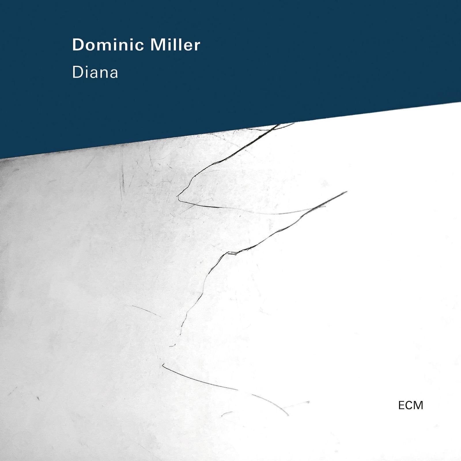 LP deska Dominic Miller - Diana (LP)