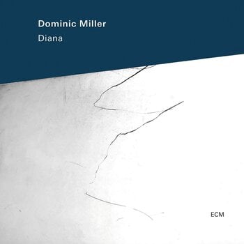 LP deska Dominic Miller - Diana (LP) - 1