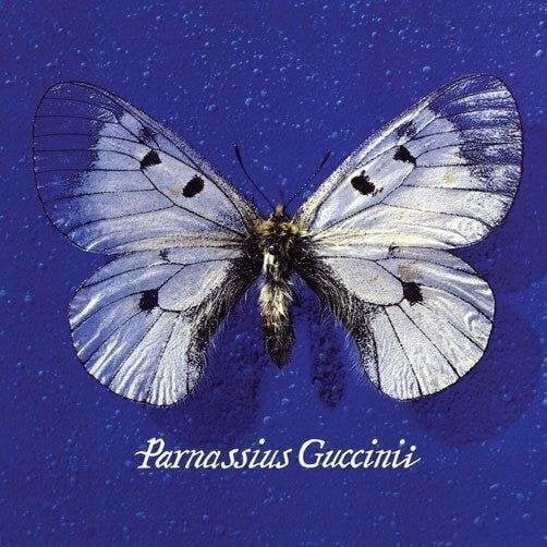 CD musique Francesco Guccini - Parnassius Guccinii (CD)