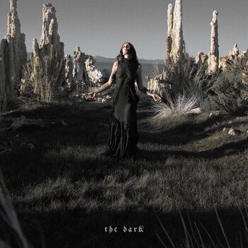 LP Chelsea Wolfe - The Dark (Ultra Clear Coloured) (LP) - 1