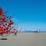 Music CD The Cranberries - Wake Up And Smell The Coffee (25th Anniversary Edition) (Remastered) (CD)