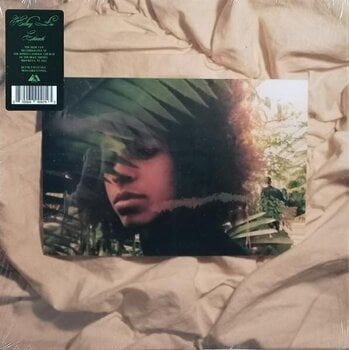 Vinyl Record Kelsey Lu - Church (Reissue) (10th Anniversary Edition) (Moss Green Coloured) (LP) - 1