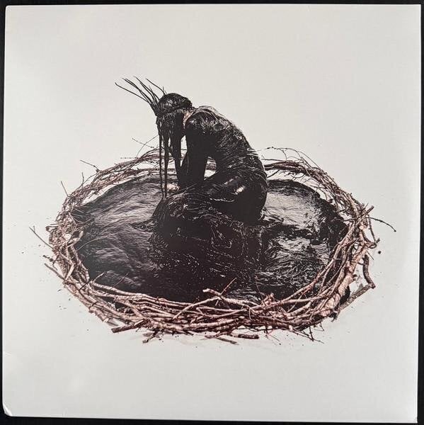 Vinila plate Entheos - Empty On The Inside (Red & Black Marbled Coloured) (LP)