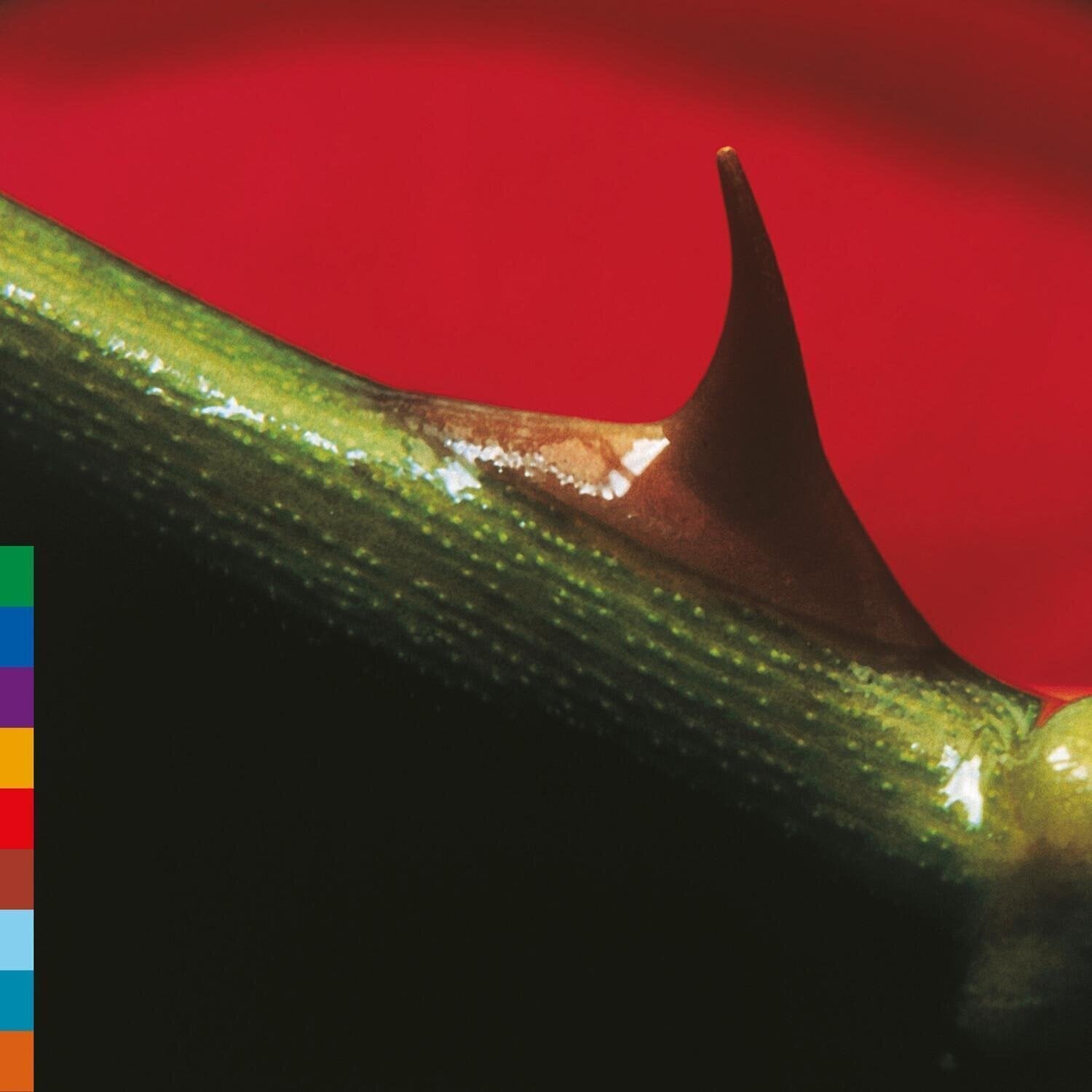 LP plošča Nusrat Fateh Ali Khan & Michael Brook - Night Song (30th Anniversary/Special Edition) (Rose-Leaf-Green Coloured) (LP)