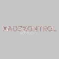 Hanglemez Rico Puestel - Xaosxontrol (12" SP)