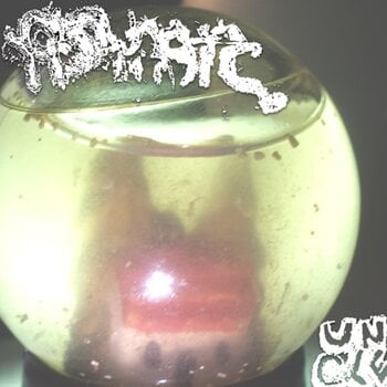 LP plošča Fish Narc - Uncle (LP) - 1