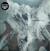 Δίσκος LP The Afghan Whigs - Do To The Beast (Limited Edition) (2 LP)