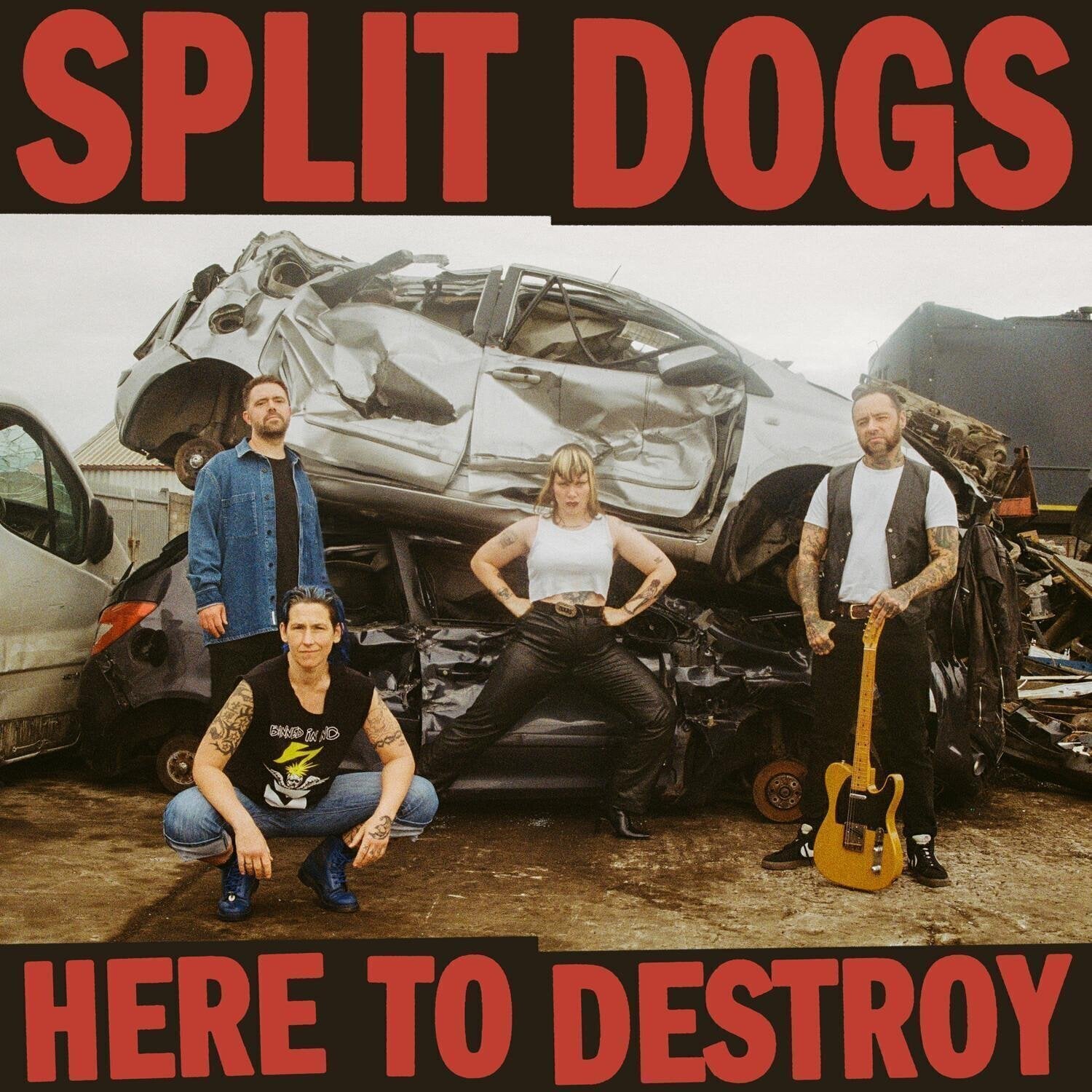 LP plošča Split Dogs - Here To Destroy (Blue Marble Coloured) (LP)