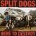 LP plošča Split Dogs - Here To Destroy (Blue Marble Coloured) (LP)