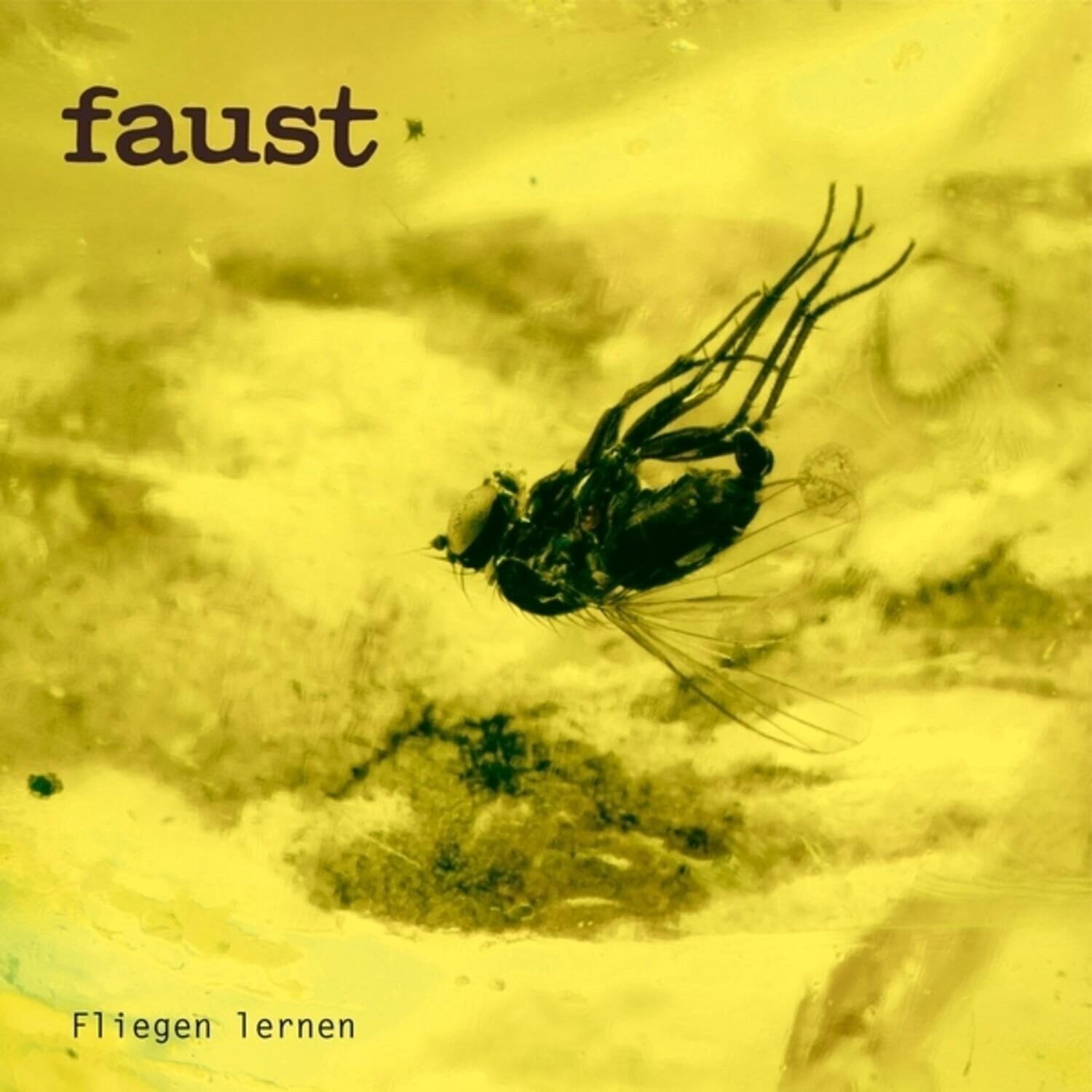 LP deska Faust - Fliegen Lernen (Curated By Gunther Wusthoff) (LP)