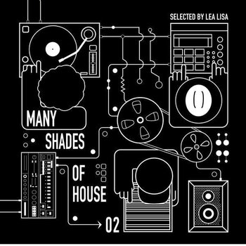Vinyl Record Various Artists - Many Shades Of House (Selected By Lea Lisa) Vol.2 (Gatefold) (2 LP) - 1