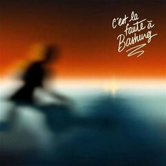 Vinyl Record Various Artists - C'est La Faute À Bashung (2 LP)