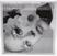 Musik-CD Ariana Grande - Petal (Limited/Deluxe Edition) (CD)