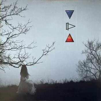 LP ploča Reb Fountain - Water For Gasoline (Limited/Special Edition) (Smokey Clear & Black Coloured) (LP) - 1