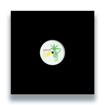 Vinyl Record Various Artists - Rebirth 20 (Limited Edition) (12" SP) - 1