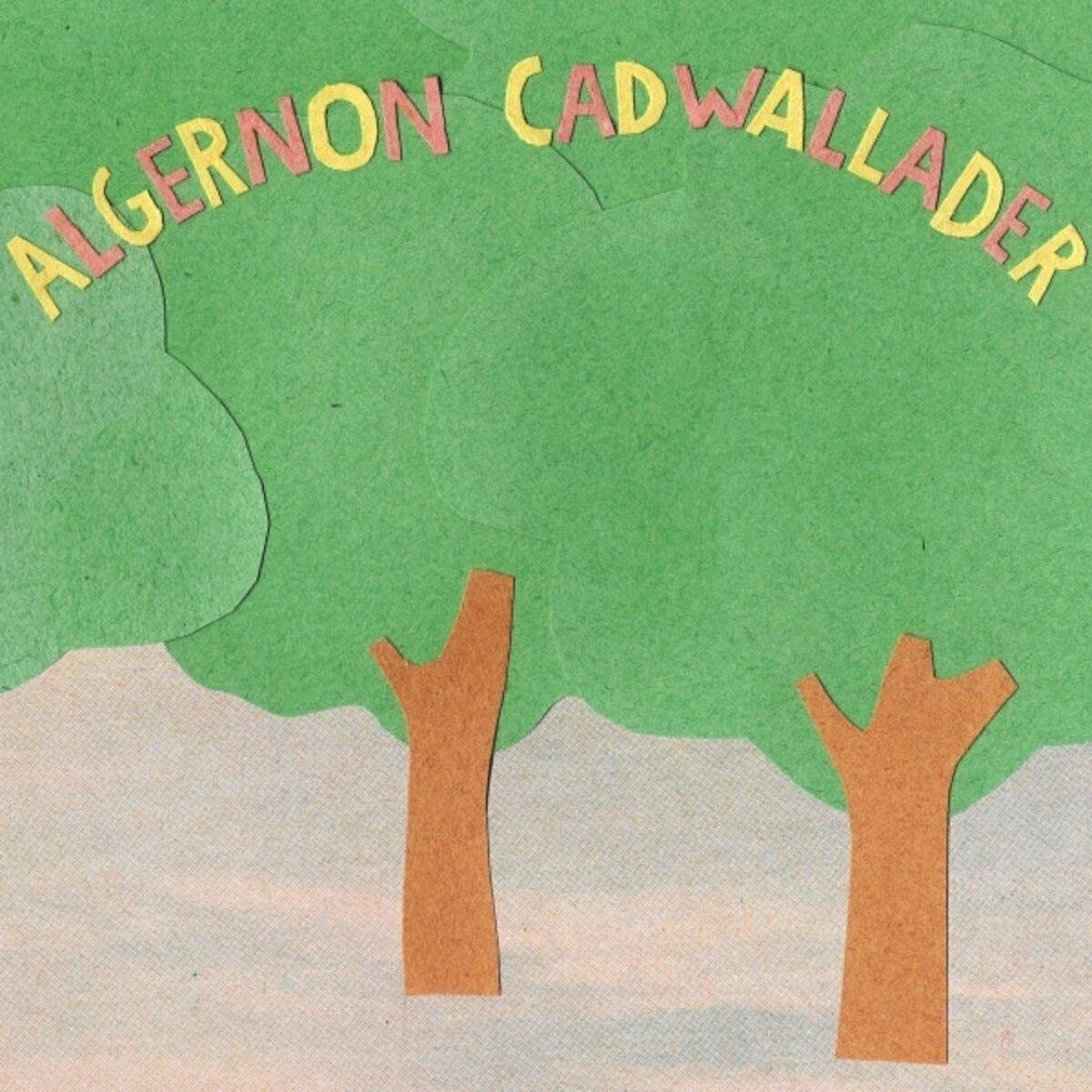 LP deska Algernon Cadwallader - Some Kind Of Cadwallader (Pink/Green Swirl Coloured) (LP)