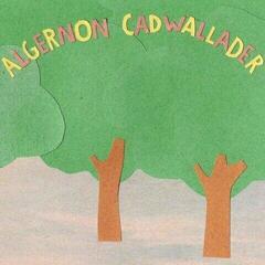 LP deska Algernon Cadwallader - Some Kind Of Cadwallader (Pink/Green Swirl Coloured) (LP)