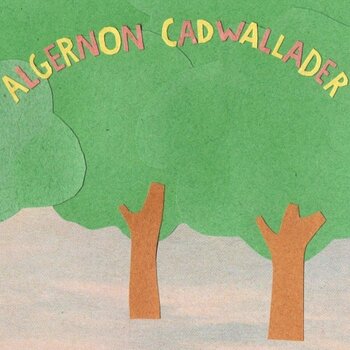 LP deska Algernon Cadwallader - Some Kind Of Cadwallader (Pink/Green Swirl Coloured) (LP) - 1