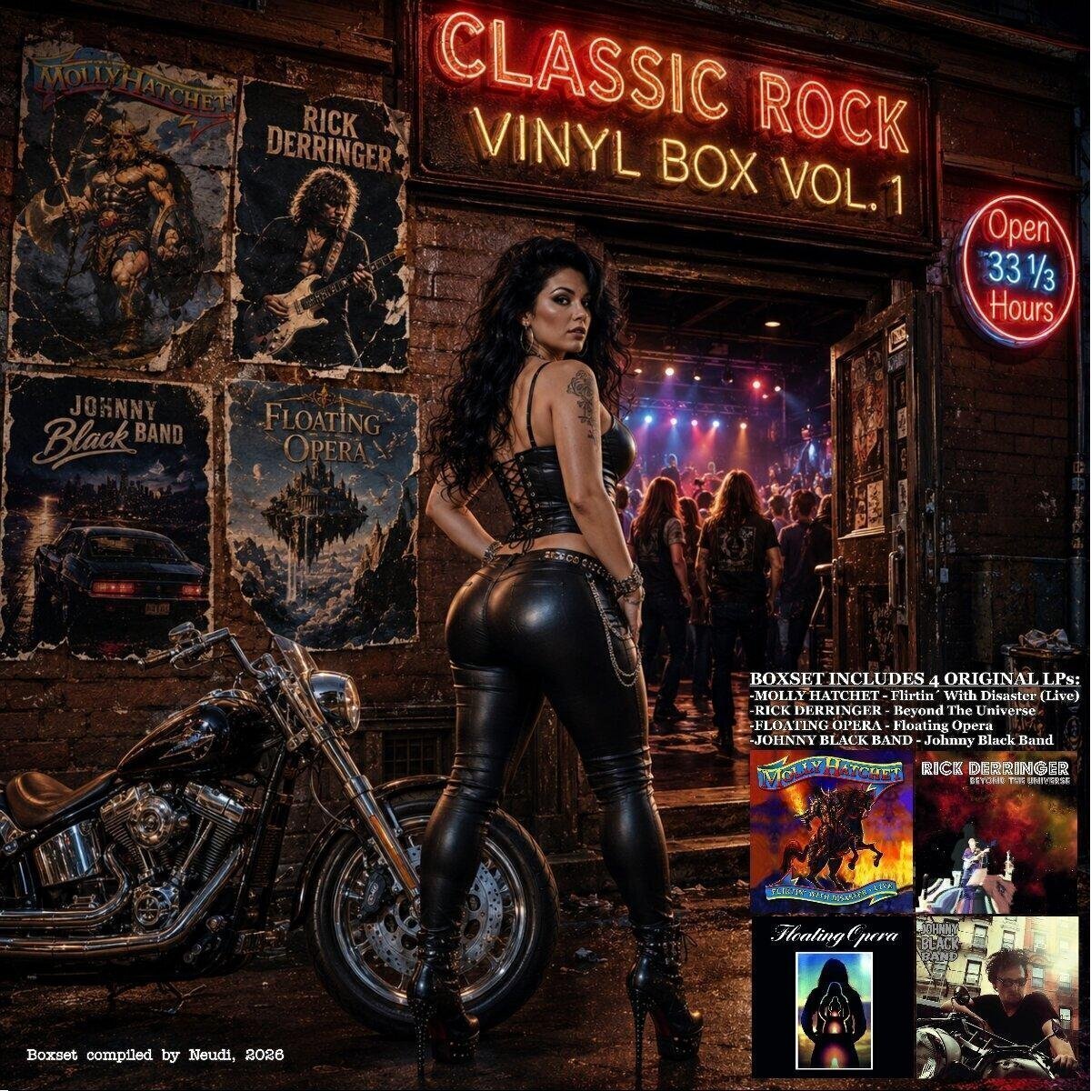 Vinyl Record Various Artists - Classic Rock Vinylbox (Box Set) (4 LP)