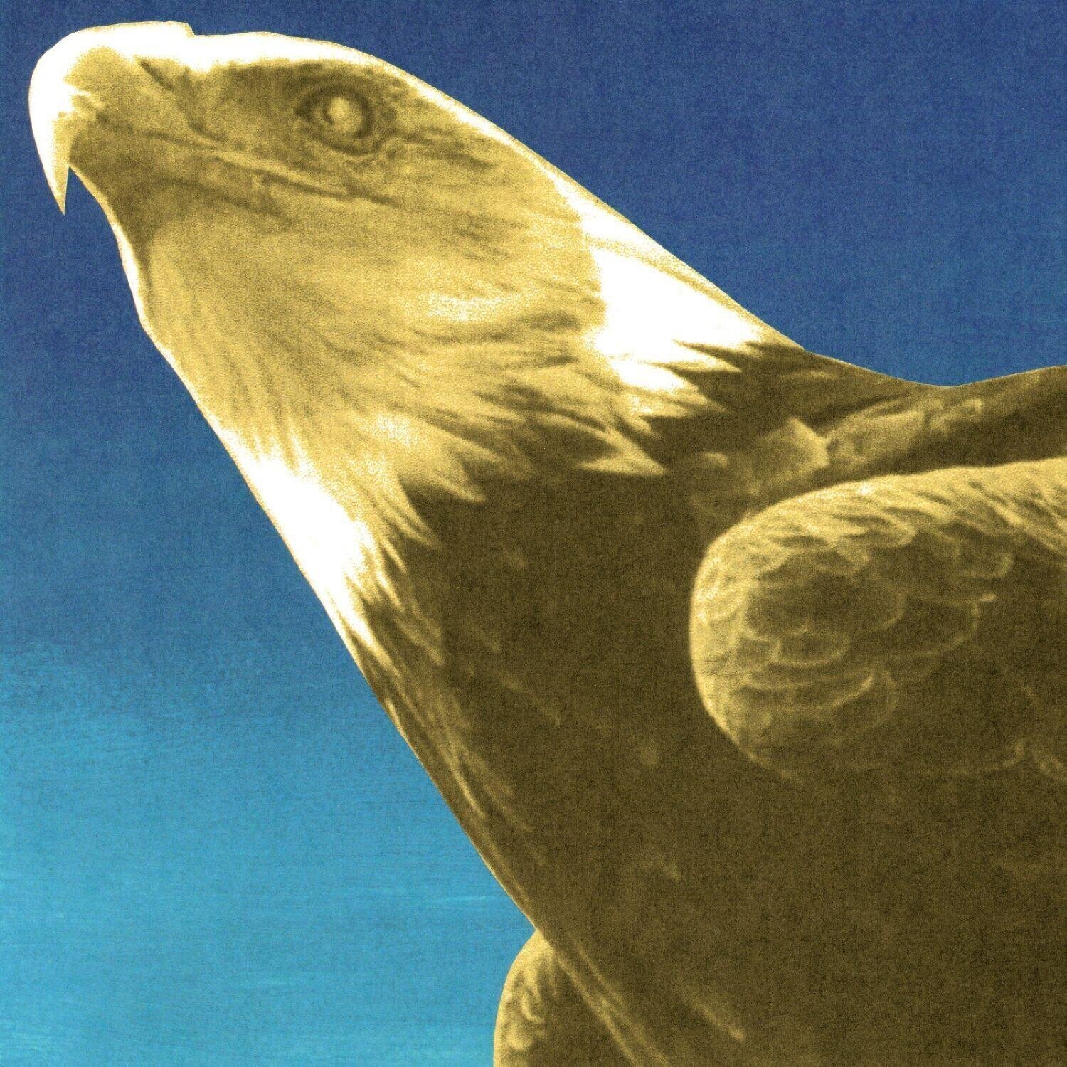 Glasbene CD Protomartyr - Hotel Usona (CD)
