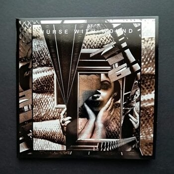 Disc de vinil Nurse With Wound - Sic (Dark Ice Coloured) (2 LP) - 1