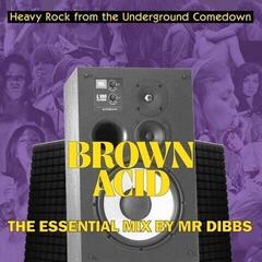 Płyta winylowa Various Artists - Brown Acid: The Essential Mix By Mr Dibbs (Limited Edition) (Purple Coloured) (LP)